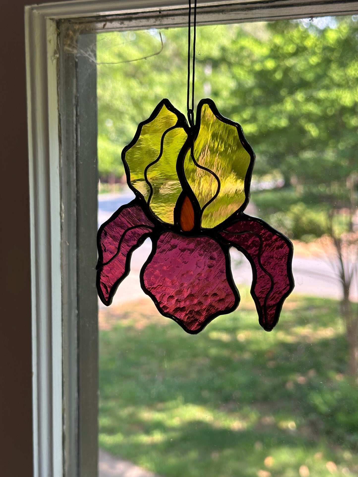 Stained Glass Bicolor Iris Suncatcher Window Decoration Glass Art Plant Lover Gift