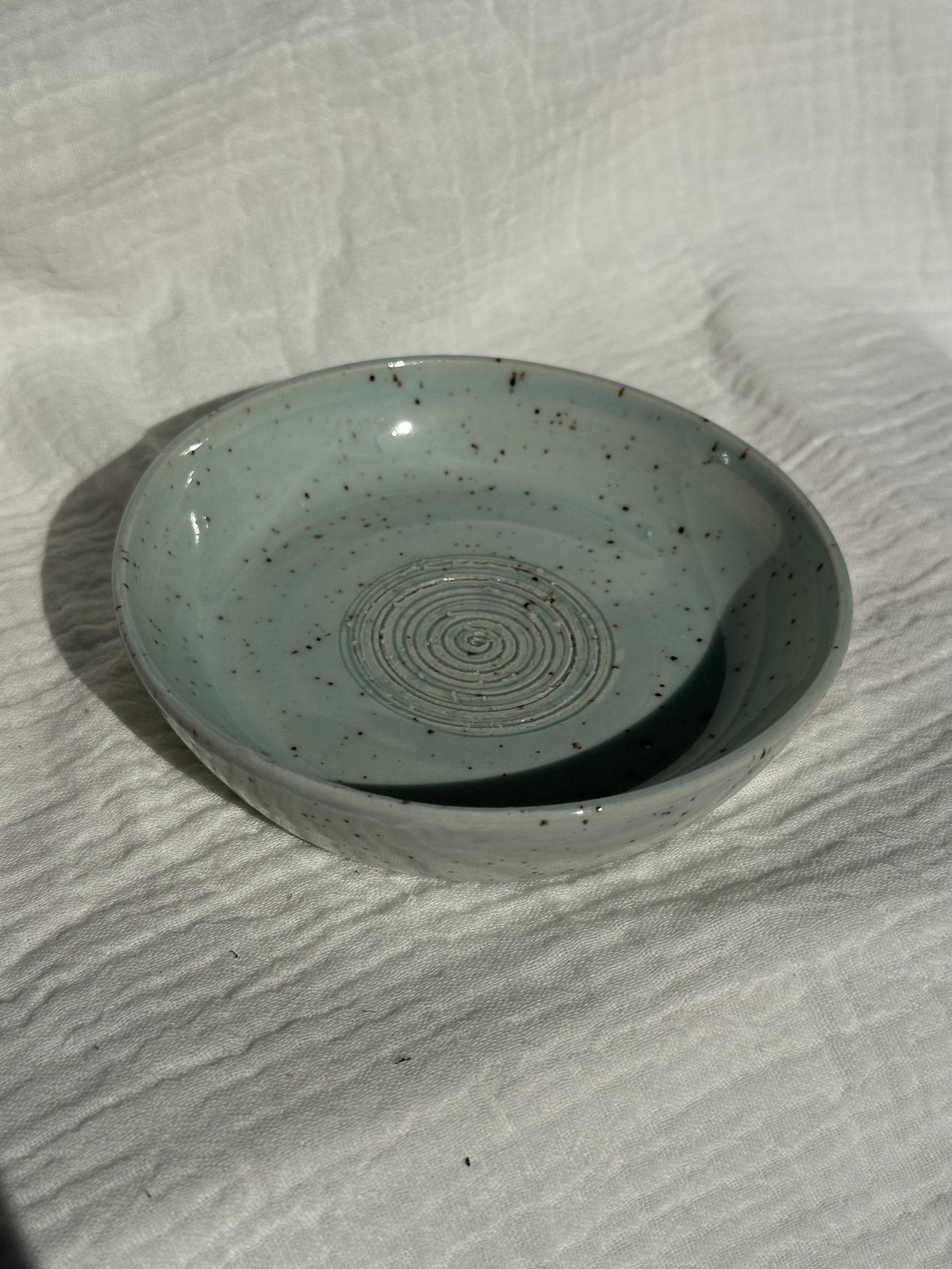 Ceramic Stoneware Blue Speckled Garlic Grater Serving Pottery