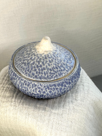 Handmade Carved Ceramic Stoneware Blue Ombré Box Lidded Lid Salt Cellar Pig Pottery