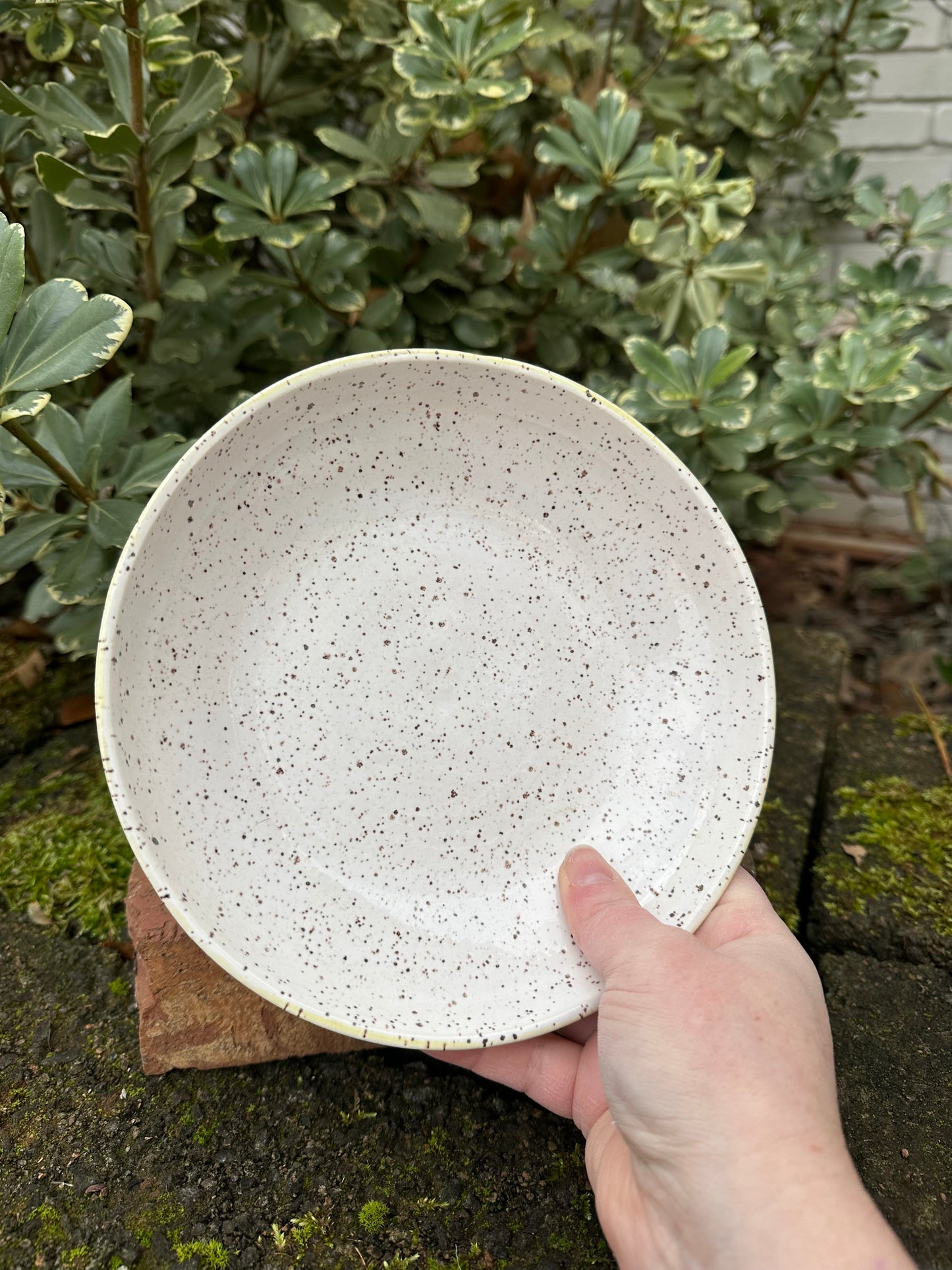 Ceramic Stoneware Purple Serving Display Shallow Bowl Blate Plate Home Decor Pottery