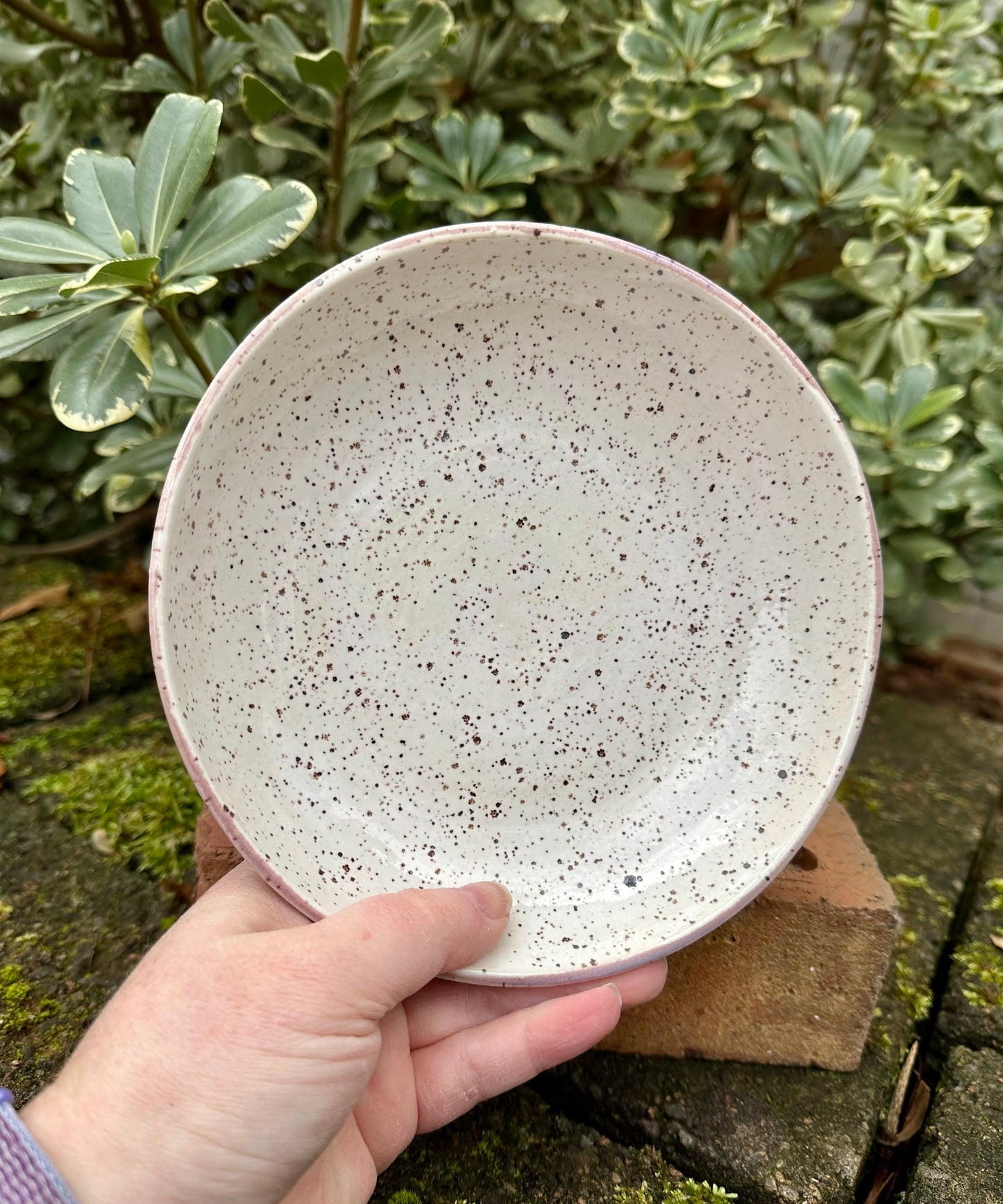 Ceramic Stoneware Purple Serving Display Shallow Bowl Blate Plate Home Decor Pottery