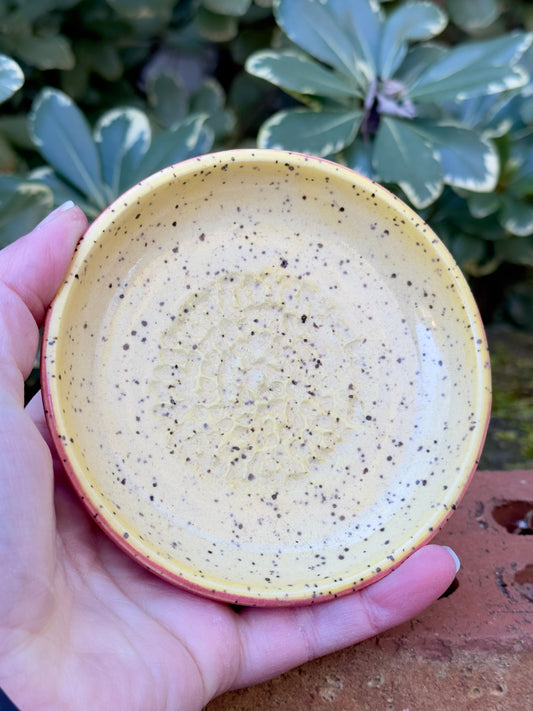 Ceramic Stoneware Trinket Dish Or Spoon Rest On Speckled Clay