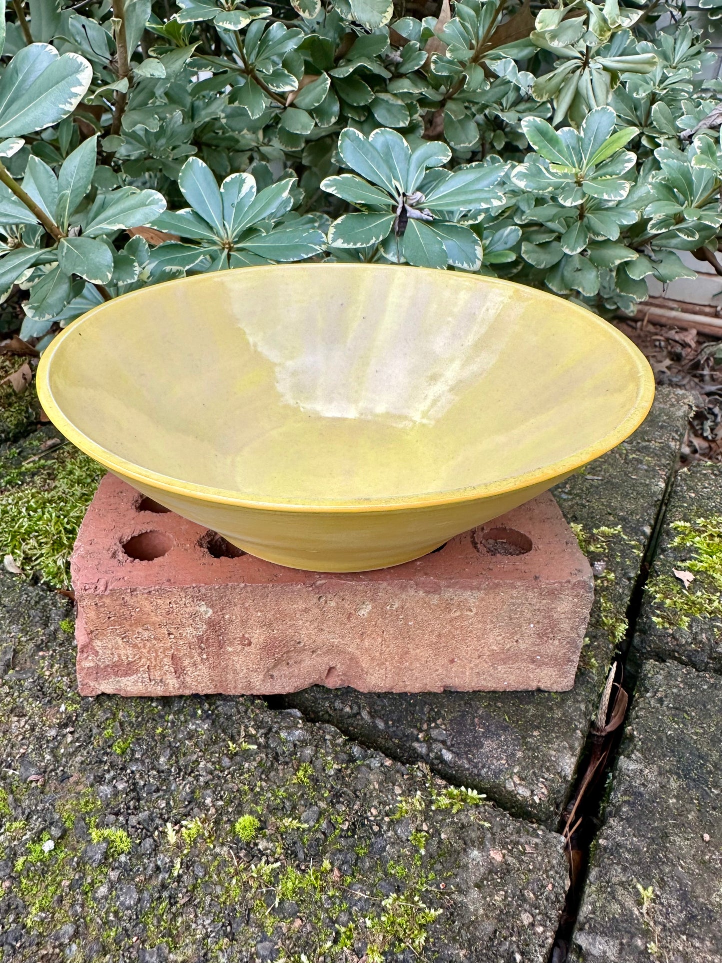 Ceramic Stoneware Large Yellow Serving Display Bowl Home Decor Pottery