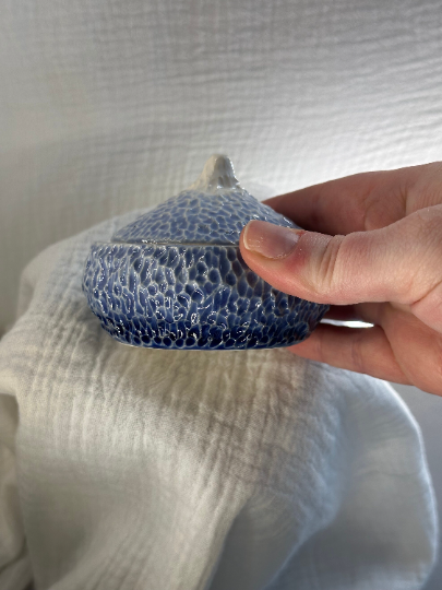 Handmade Carved Ceramic Stoneware Blue Ombré Box Lidded Lid Salt Cellar Pig Pottery