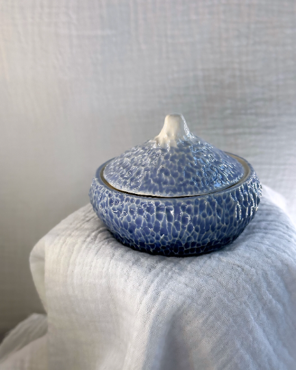 Handmade Carved Ceramic Stoneware Blue Ombré Box Lidded Lid Salt Cellar Pig Pottery